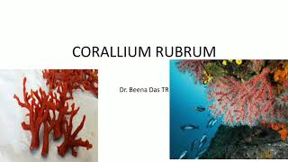 CORALLIUM RUBRUM  Final BHMS  Homoeopathic Materia Medica Recorded Classes [upl. by Oeram]