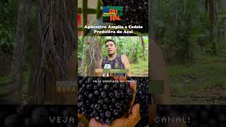 App Monitora Cadeia Produtiva do Açaí [upl. by Mattson]