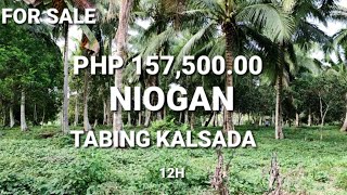 466 NIOGAN AT SAGINGAN SA TABING KALSADA [upl. by Fugazy]