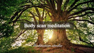 【10min】Body Scan Meditation [upl. by Ameluz]