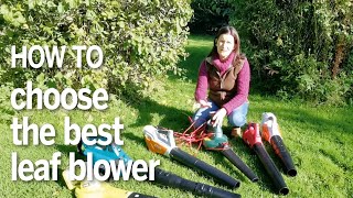 The best leaf blowers our guide on how to buy and what to look for [upl. by Goldner]