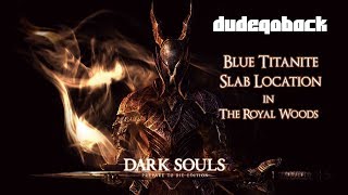 Blue Titanite Slab Location in Royal Wood  Tips N Tricks  Dark Souls 1 [upl. by Akkin177]