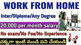 Latest work from home jobs 2024inter any graduatefresher and experiencedwork from home jobs [upl. by Kelley]