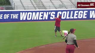 Oklahoma Softball 2023 WCWS Open Practice [upl. by Krisha940]