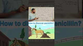 How to discover penicillin biology neet neetbiology class12 shorts [upl. by Greenberg]