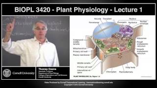 BIOPL3420  Plant Physiology  Lecture 1 [upl. by Bergen302]