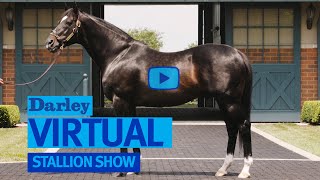 Darley America Virtual Stallion Show [upl. by Asselem826]