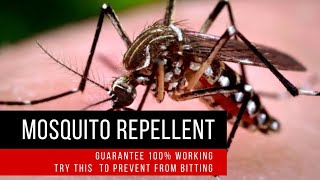 Mosquito Repellant Sound 100 Works  Beats and Sounds Official [upl. by Manley418]