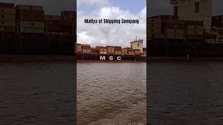 MSC MAFIYA OF SHIPPING COMPANIES😎shipping msc mafiya shorts [upl. by Yseulta]