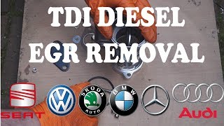 ⚙️TDI EGR RemovalBlanking⚙️ [upl. by Stine]