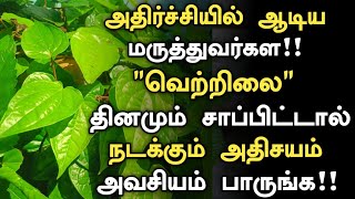 வெற்றிலை சாப்பிட்டால் நடக்கும் அதிசயம்  Vetrilai Benefits in Tamil Health Tips in Tamil  Part 3 [upl. by Yrogreg793]