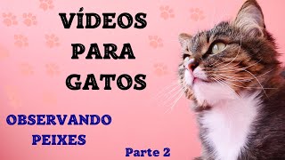 Jogo para GATOS  Observando PEIXES 2 [upl. by Kline]