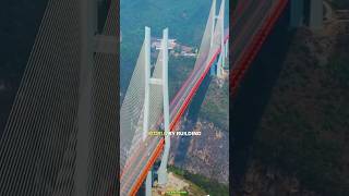 Tallest bridge in the world trendingfacts facts amazingfactschannel [upl. by Ahtelra461]