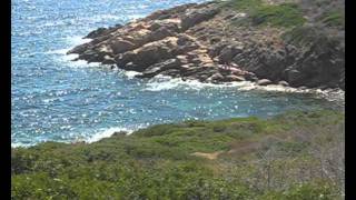 ISOLA DEL GIGLIO  SPIAGGE SENTIERI E PAESAGGI [upl. by Kenward]