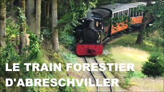 Le train forestier dAbreschviller [upl. by Seiber746]