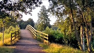 Tour durch den Bokeler Volkspark in Papenburg [upl. by Lukas]