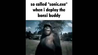 so called quotsonicexequot when i deploy the bonzi buddy [upl. by Ydassac203]