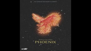 Netrum amp Halvorsen  Phoenix Official instrumental [upl. by Eindys]