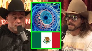 Dale Brisby quotWHY DO WE HAVE TO GO TO MEXICO FOR STEM CELL THERAPYquot [upl. by Winebaum]