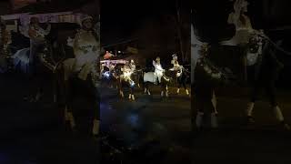 Christmas Parade in Jonesborough Tennessee christmas parade horses shorts outdoors [upl. by Abbe]