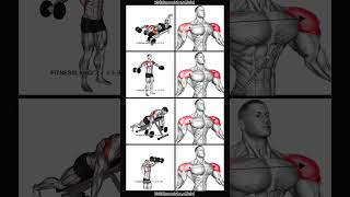 How to get wider shoulders [upl. by Radmen]