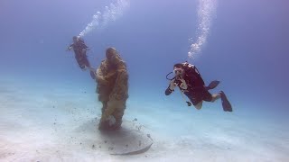 Diving Cozumel and Play Del Carmen Cenotes Mexico 2023 [upl. by Jeane]