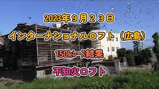 ｲﾝﾀｰﾅｼｮﾅﾙﾛﾌﾄ（広島）第１回150kレース結果発表。プカラスロフト＆不知火ロフト。 [upl. by Mildred556]