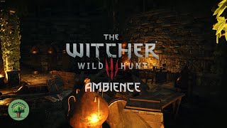 Philippa Eilhart Laboratory Ambience  Witcher Ambient Music  Sleep  Study  Relax [upl. by Earehs]