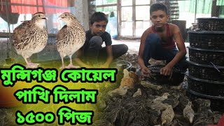 মুন্সিগঞ্জে কোয়েল পাখি দিলাম  Chandpur Quail Farm  01313679929 [upl. by Jarv]