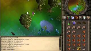 How To Finish The Roving Elves Quest Runescape [upl. by Llenor]