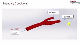 PreAnalysis  Steady Flow in an Artery [upl. by Resor349]