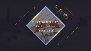 Periodontium Gingiva 2  Periodontology [upl. by Dahc346]