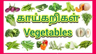 Vegetables Name in Tamil and English  40 காய்கறிகள் பெயர்கள்  kids learning [upl. by Colvin]