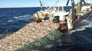 Amazing Big Catching on The Sea With Modern Big Boat  Amazing Giant Fishing Net I Never Seen [upl. by Suirada]