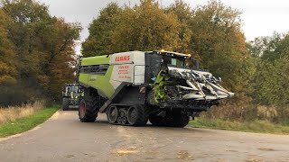 Claas Lexion 7700TT  Żniwa kukurydziane 2024 [upl. by Allene]