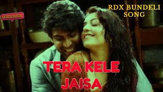 तेरा केले जैसाTera Kele Jaisa  rdx nonveg Song  rdx non veg  New Song  Non Veg Song dj song [upl. by Aisa103]