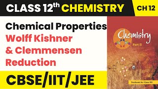 Chemical Properties  Wolff Kishner amp Clemmensen Reduction  Class 12 Chemistry Chapter 12 [upl. by Marlo]