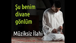 Şu benim divane gönlüm  Müziksiz İlahi [upl. by Latsryk]