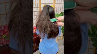 Best Hair Straightener Brush smoothhairtips quickhairfix [upl. by Aniaz]