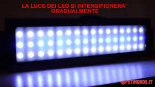 Plafoniera a Led per Acquario LedSystem per acquari dacqua dolce e marina [upl. by Adekram47]