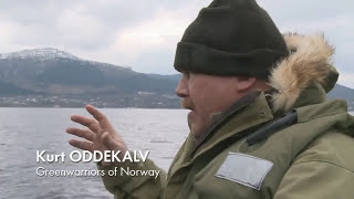 Farmed Norwegian Salmon World’s Most Toxic Food [upl. by Timothea]