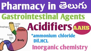 Gastrointestinal Agents acidifiers in తెలుగు  bpharm 1st sem  inorganic chemistry unit 3 [upl. by Ybbor]