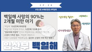 EP26 10년만에 최대유행 백일해임산부 남편 가족 꼭 맞아야 할까 [upl. by Weikert297]