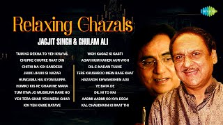 Relaxing Ghazals  Chithi Na Koi Sandesh  Dil E Nadan  Jagjit Singh Ghazals  Best Of Ghazal [upl. by Kosak796]