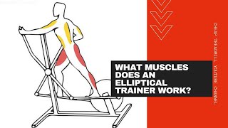 The Benefits of Elliptical Trainers What Muscles Does an Elliptical Trainer Work [upl. by Ishii]