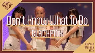 【KPOPDANCECOVER】BLACKPINK 블랙핑크 Dont Know What To Do by Twinkle 新歓公演2024 ZENITH [upl. by Akemet]