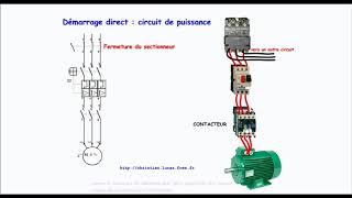 Fonctionnement dun démarrage direct dun moteur asynchrone triphasé [upl. by Htebilil]