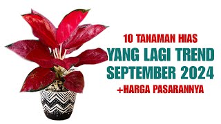 10 Tanaman Hias Yang Lagi Trend di Bulan September 2024 [upl. by Carlie62]