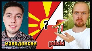 Macedonian Language VS Polish  How similar are Slavic Languages [upl. by Carin]