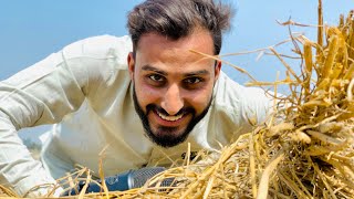 ASMR Rice 🌾 Straw Sound asmr faziasmrofficial asmrrice [upl. by Anomis]